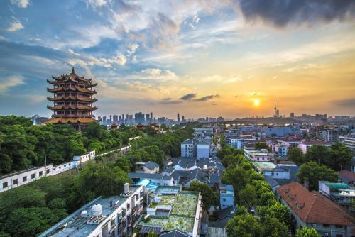 湖北，长江之滨的绿色明珠播音稿