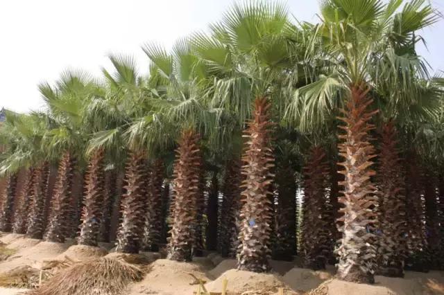 海南尊谊盛典，领导与朋友共襄盛举