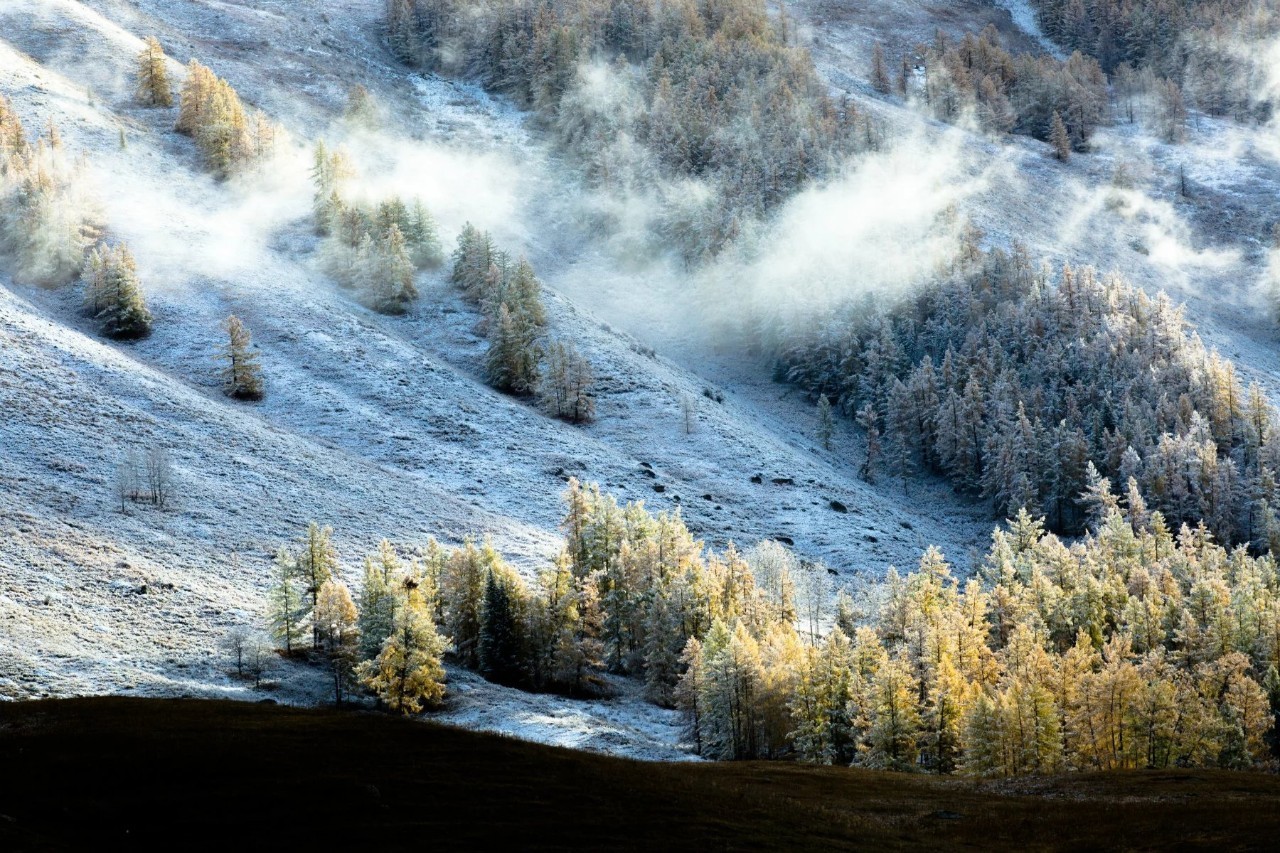 新疆,自然浪漫之旅的邂逅之地