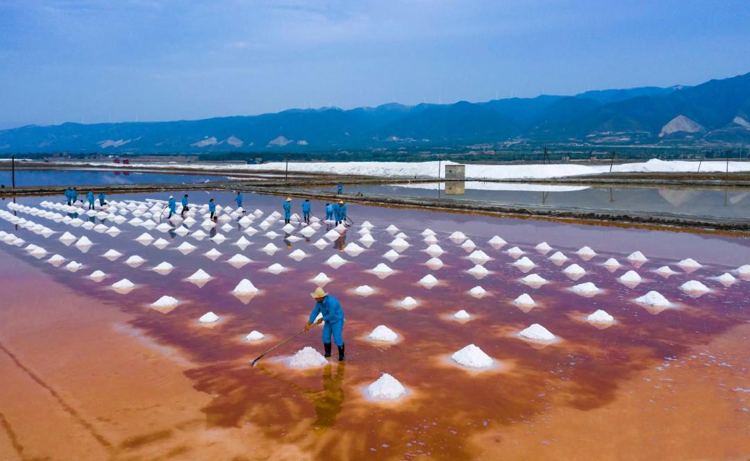 运城盛典,嘉宾云集,观众热情如火